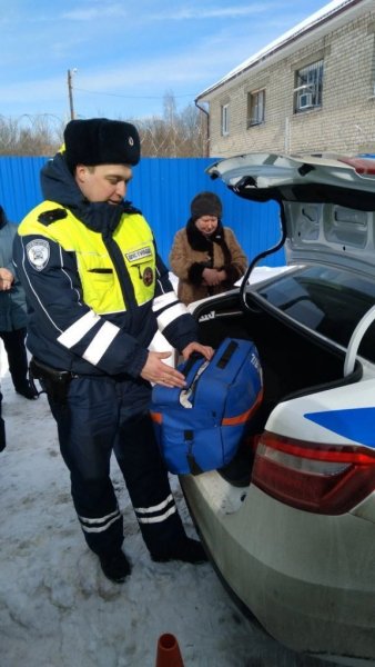 Юные инспекторы дорожного движения побывали в гостях у сотрудников богородской Госавтоинспекции